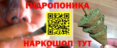 мдма Кингисепп