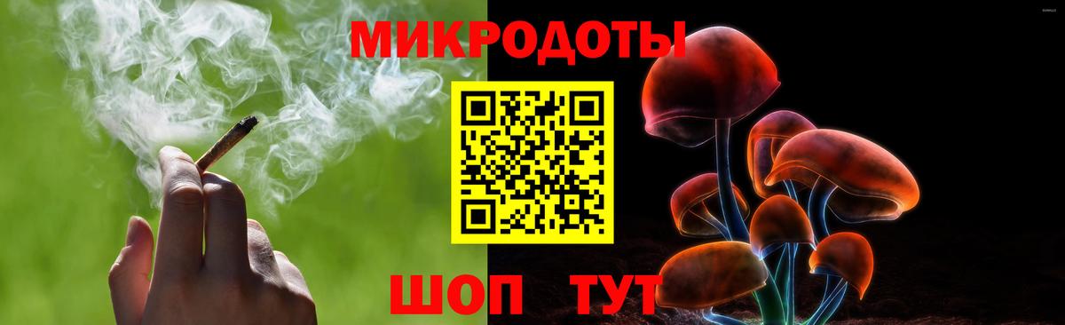 Псилоцибиновые грибы Psilocybine cubensis Кропоткин